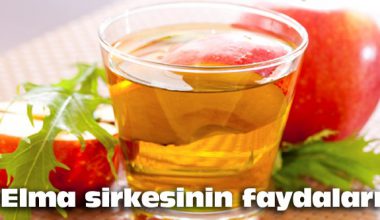 Elma Sirkesinin Faydaları Elma Sirkesinin Faydaları