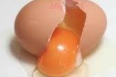 Yumurta Kabuğu Lapası