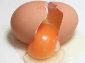 Yumurta Kabuğu Lapası